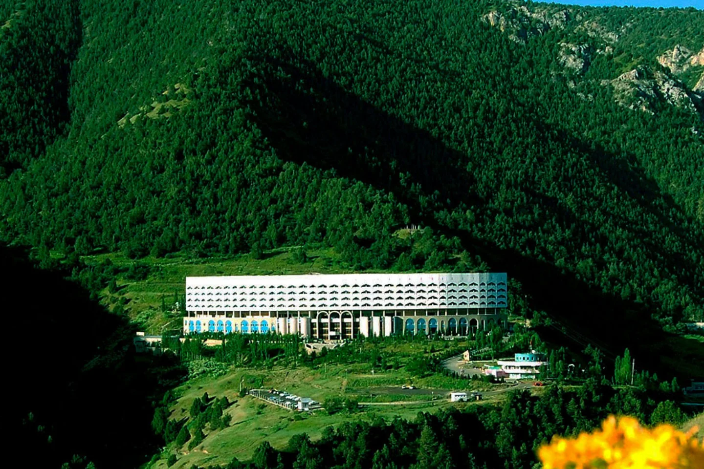 Zaamin