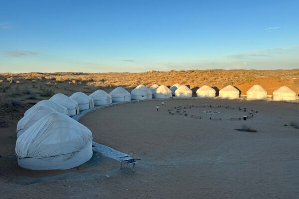 Bukhara: 2-Day Desert Yurt Camp, Nurata, & Samarkand Tour