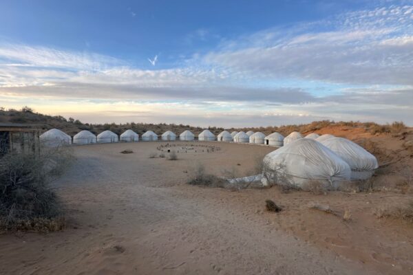 2-Day Desert Safari: Samarkand, Yurt Camp, Nurata & Bukhara