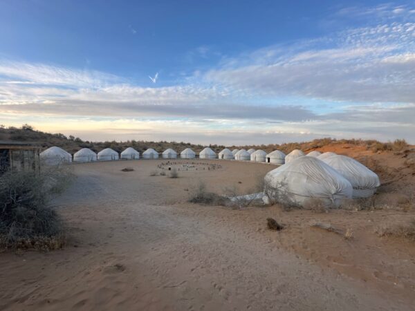 2-Day Desert Safari: Samarkand, Yurt Camp, Nurata & Bukhara