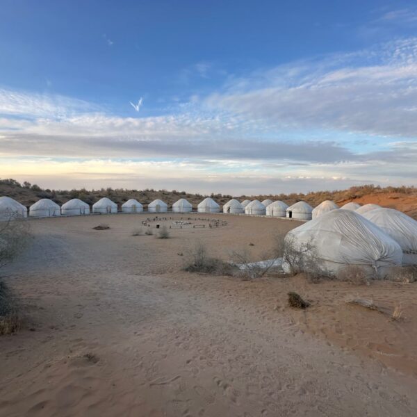 2-Day Desert Safari: Samarkand, Yurt Camp, Nurata & Bukhara
